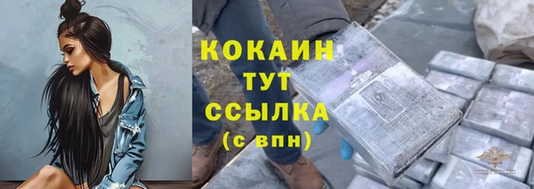 дурь Покачи