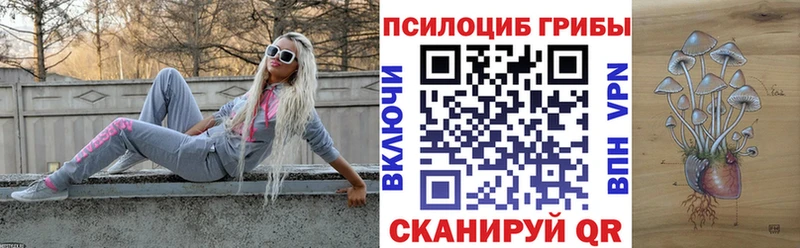 гидра онион  Славянск-на-Кубани  Псилоцибиновые грибы GOLDEN TEACHER 